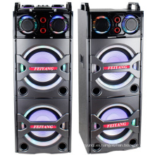 Doble 10 pulgadas Bluetooth altavoz PA Karaoke Entertainment System, micrófono inalámbrico E246